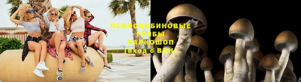 спайс Нефтегорск