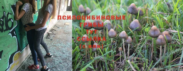 спайс Нефтегорск